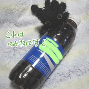 g0905-2.jpg